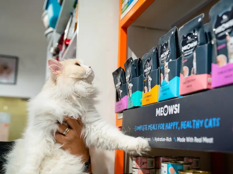 Heads Up For Tails Pet Store & Spa - Nungambakkam, Chennai, photo 4