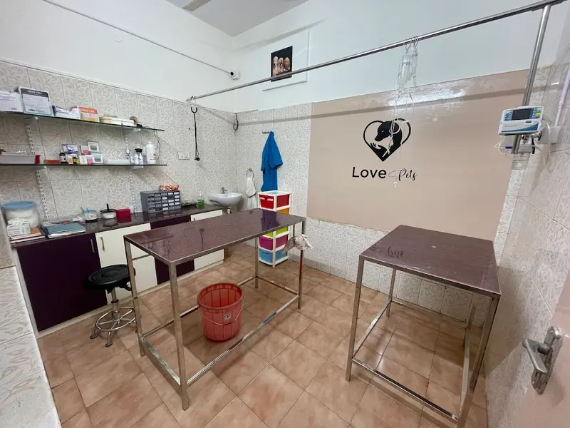 Star Pet Hospital, photo 2
