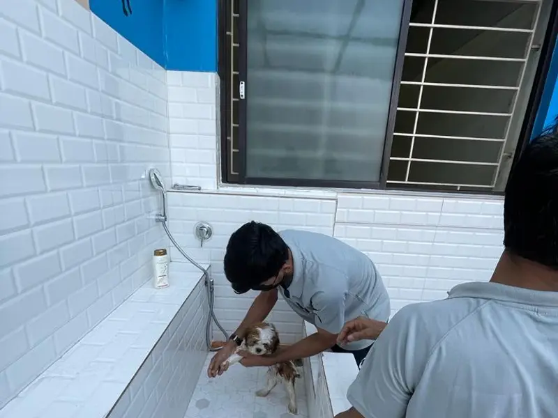 Star Pet Hospital, photo 3