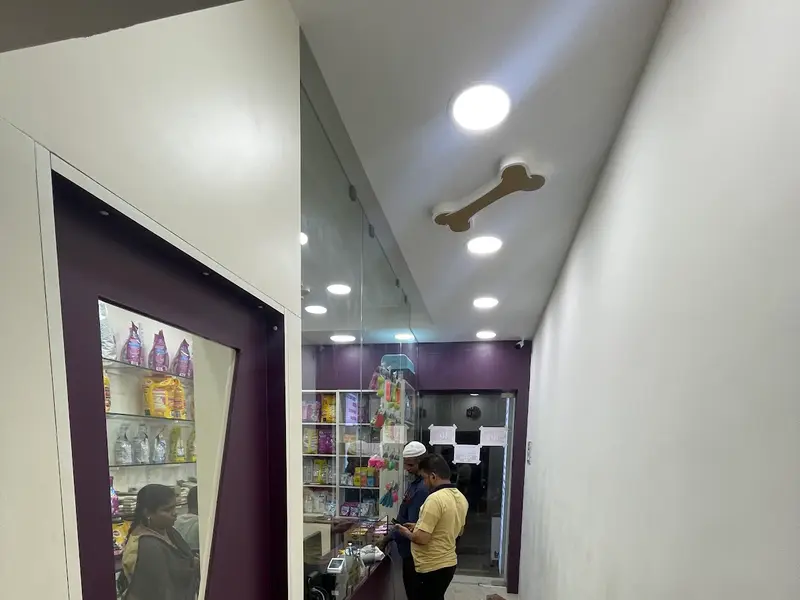 Star Pet Hospital, photo 5