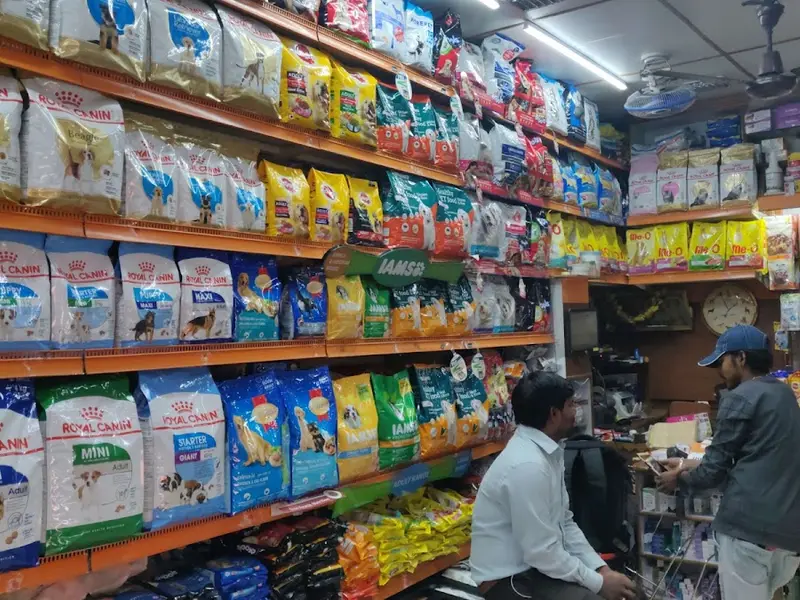 Pet's Paradise, photo 2