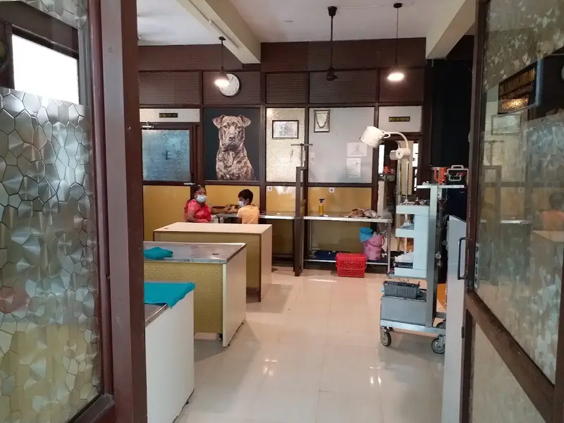 Barking Fine Hospital | Pet Clinic in Chennai | Pet Laparoscopic Surgery in Chennai | Pet cataract Surgery in Chennai, photo 4