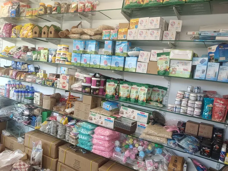 BK PET PARADISE, photo 4