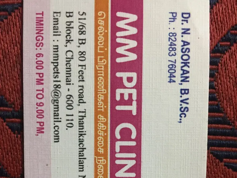 MM PET CLINIC, photo 4