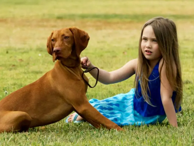 MM PET CLINIC, photo 5