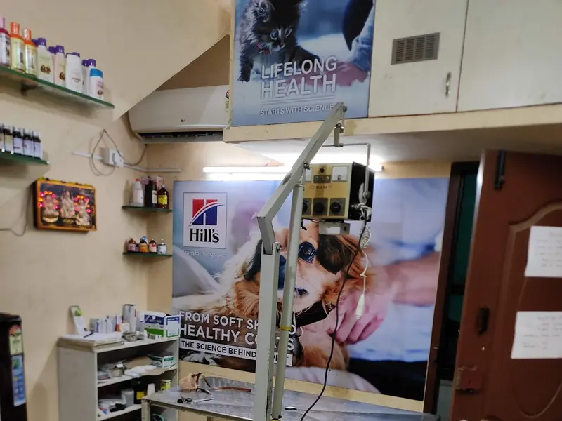 Deivayanai Pet Clinic porur, photo 4