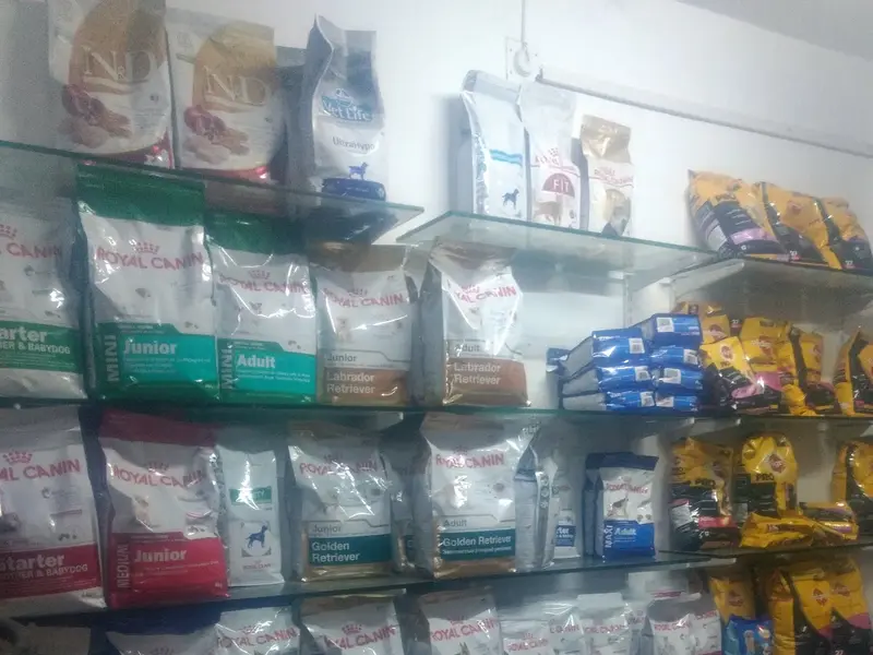 Sri Navaladi Pet Clinic, photo 4