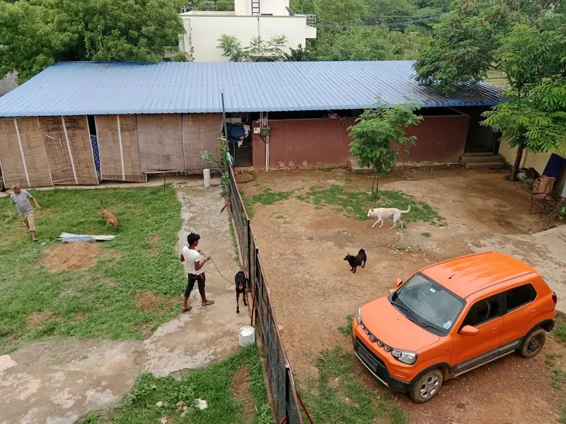 Dog House, photo 5