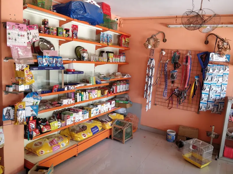 SP pet clinic & Pet World, photo 4