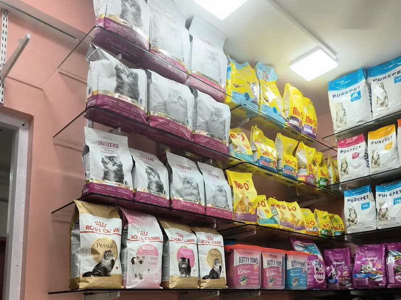 ZEN TAIL PET SHOP * CLINIC * SPA, photo 3