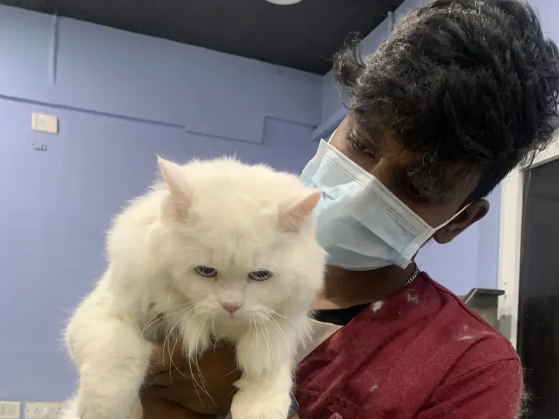 Sanchu Animal Hospital | Velachery, Chennai, photo 2
