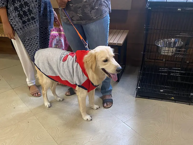 Sanchu Animal Hospital | Velachery, Chennai, photo 3