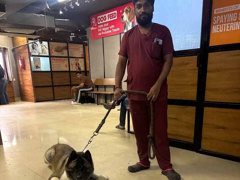 Sanchu Animal Hospital | Velachery, Chennai, photo 4