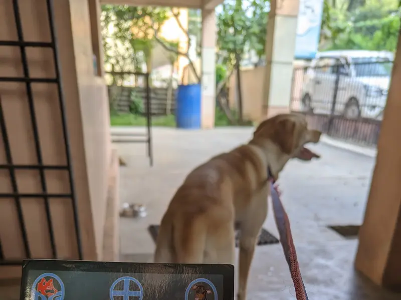 DG Veterinary Clinic, photo 2