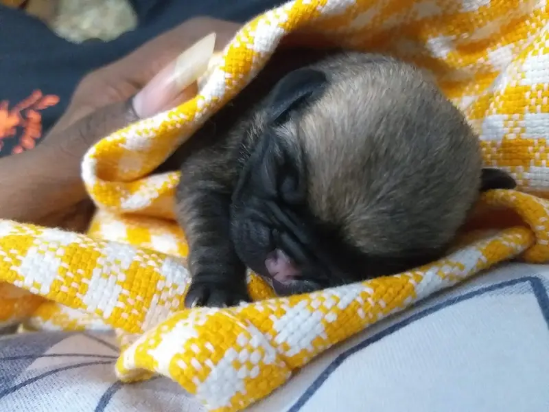 DG Veterinary Clinic, photo 4