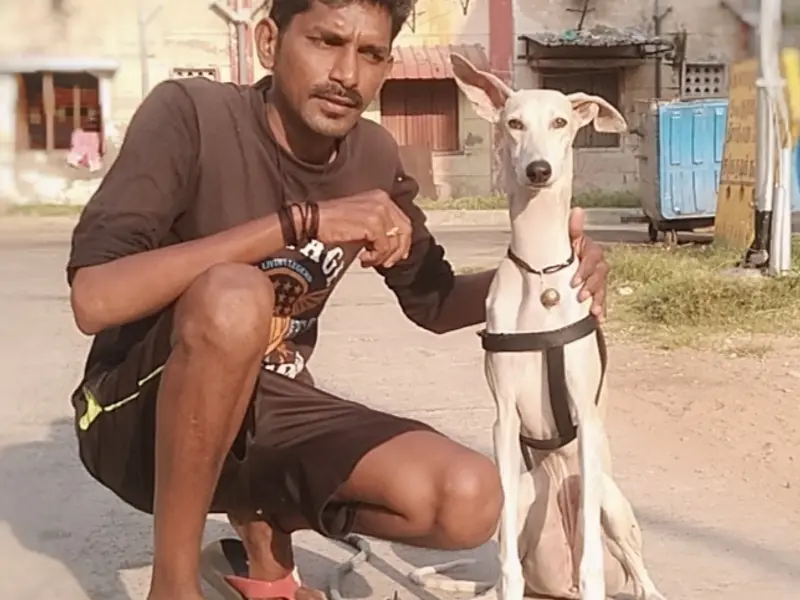Smart Dog Trainer Sathish, photo 4