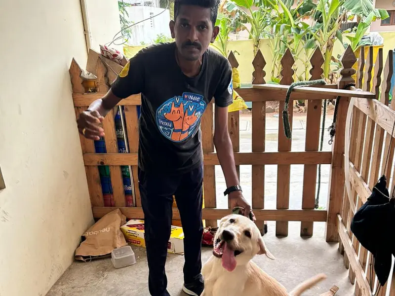 Smart Dog Trainer Sathish, photo 5