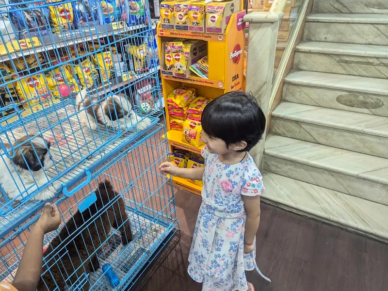 Puppies and Kittens, photo 5