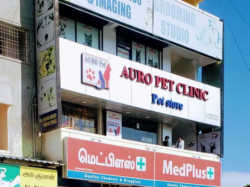 Auropet Clinic & Petstore( A Group of Auro Multispeciality pet Hospital), photo 2