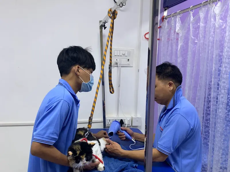 Auropet Clinic & Petstore( A Group of Auro Multispeciality pet Hospital), photo 3