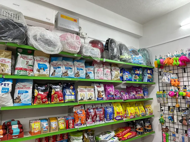 Luxury Paws Pet Shop - Pet Grooming and Pet boarding services, photo 2