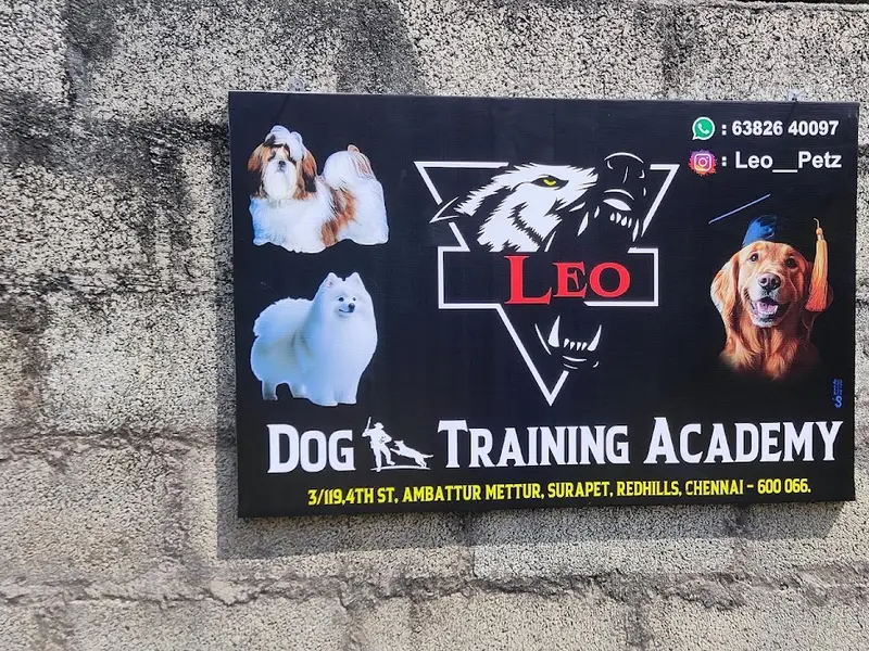 Leo Dog Training Academy, photo 2