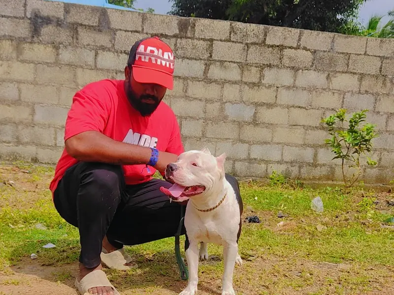 Leo Dog Training Academy, photo 3
