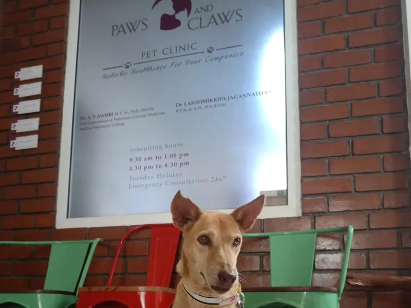 Paws and Claws Pet Clinic, photo 2