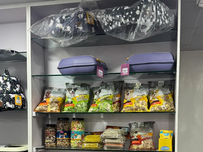 Petcure Pet Hospital, photo 3