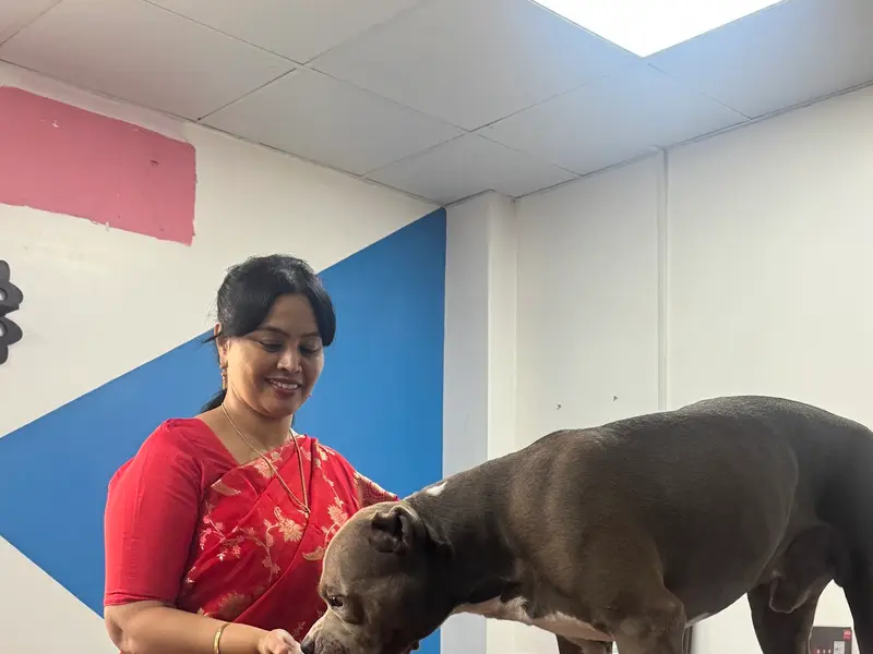Petcure Pet Hospital, photo 5