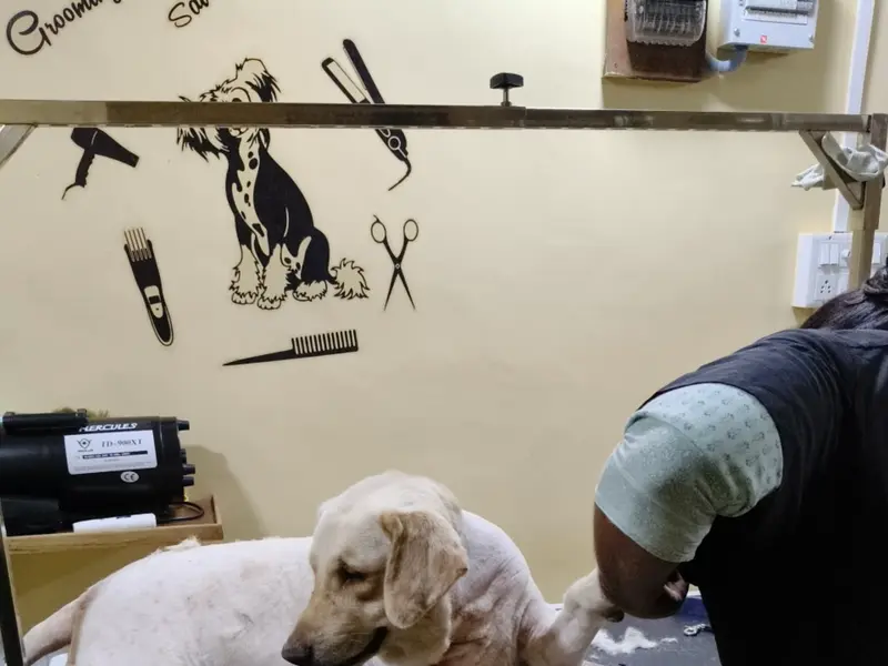 The Pet's Country - Pets Store, Pet Clinic & Vet Pharmacy, photo 4