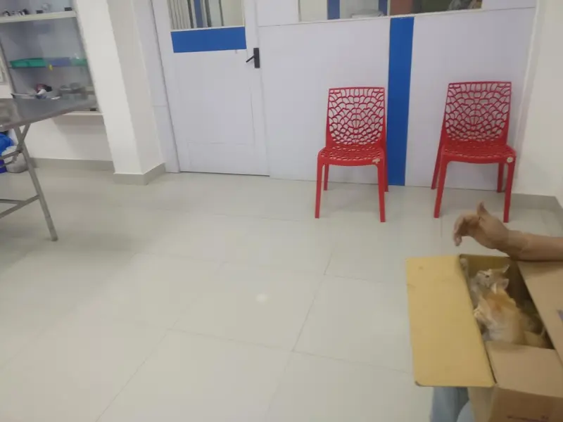 Auro Multispeciality Pet Hospital, photo 4