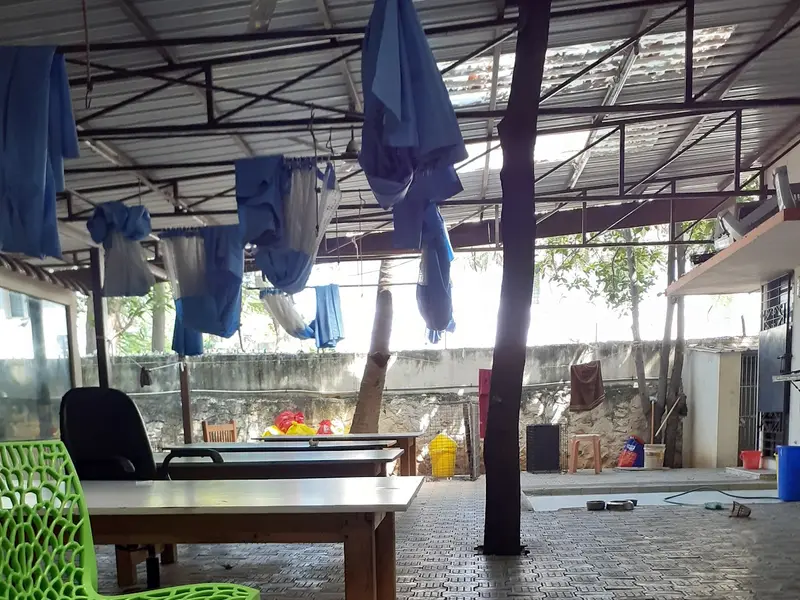 The Ark Veterinary Clinic, photo 4