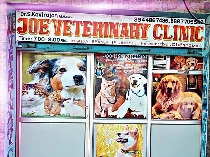 JOE PET CLINIC, photo 4