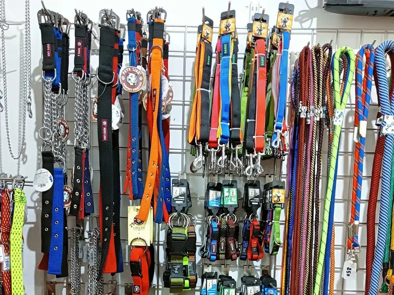 Chennai Pets Mart ( Tondiarpet Branch ), photo 3