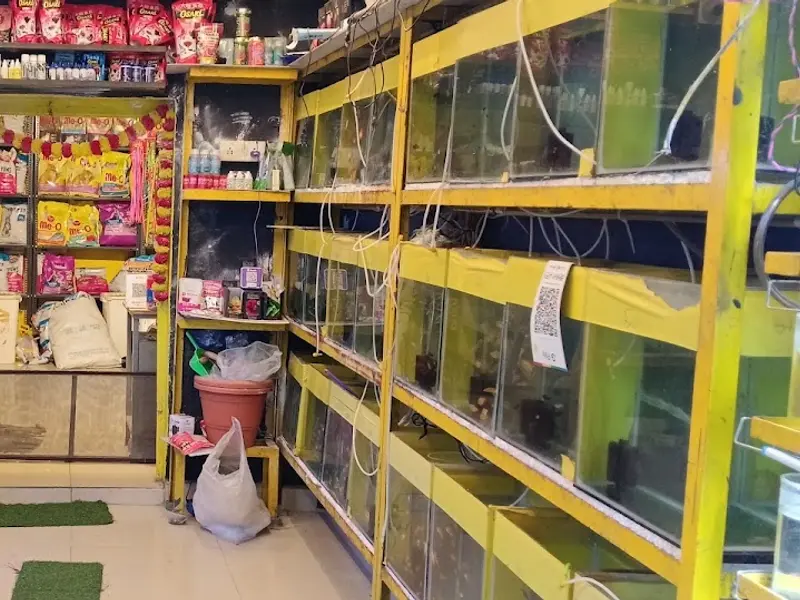 Sarvesh Pet Shop, photo 2