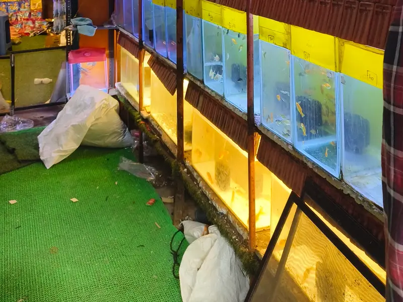 Sarvesh Pet Shop, photo 5