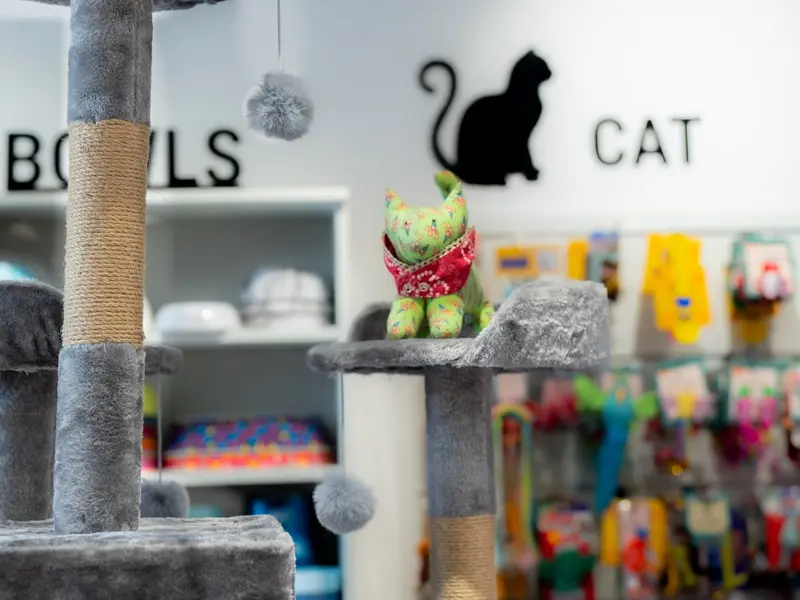 Heads Up For Tails Pet Store & Spa - Uthandi, Chennai, photo 5