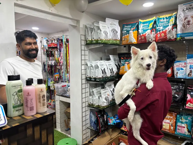 Wow Pets | Best Pets Food Supplies & Pets Grooming Shop, photo 3