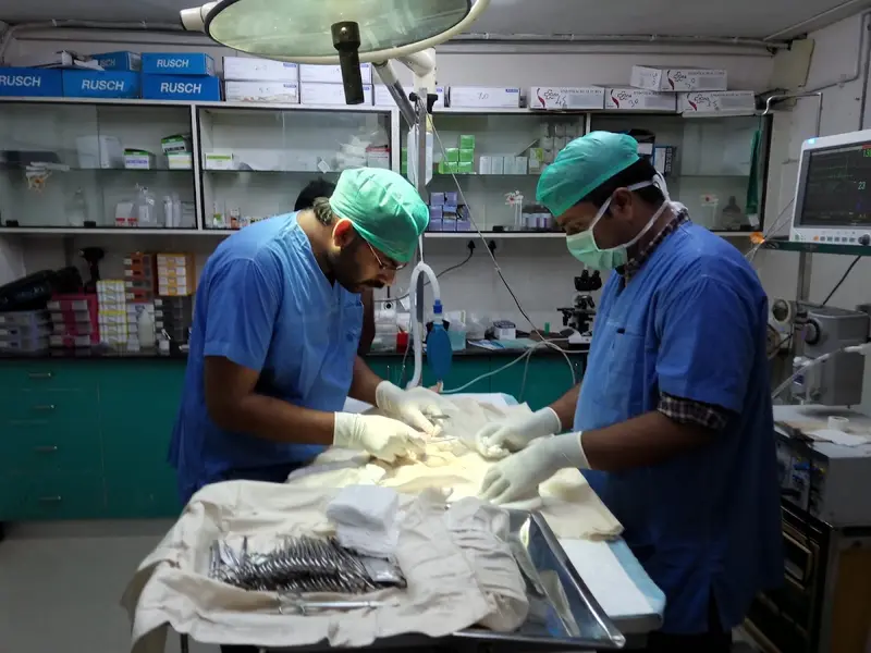 SKS Veterinary Hospital, photo 2