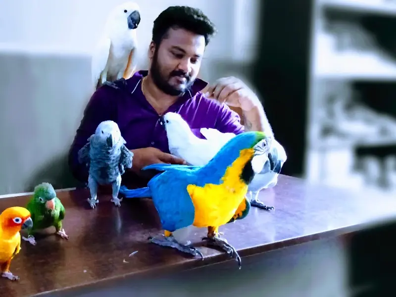 Tamed Pets - Velachery | Pet Store, photo 2
