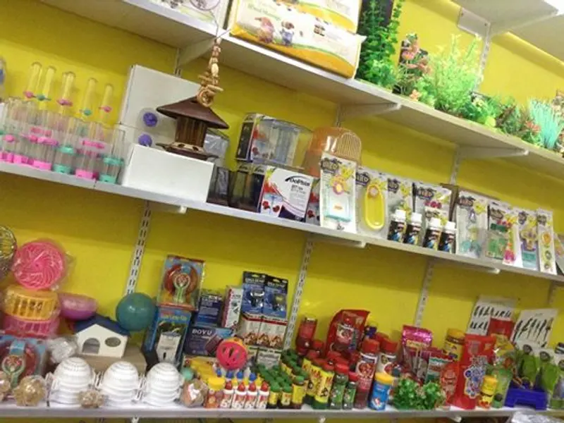 Tamed Pets - Velachery | Pet Store, photo 3