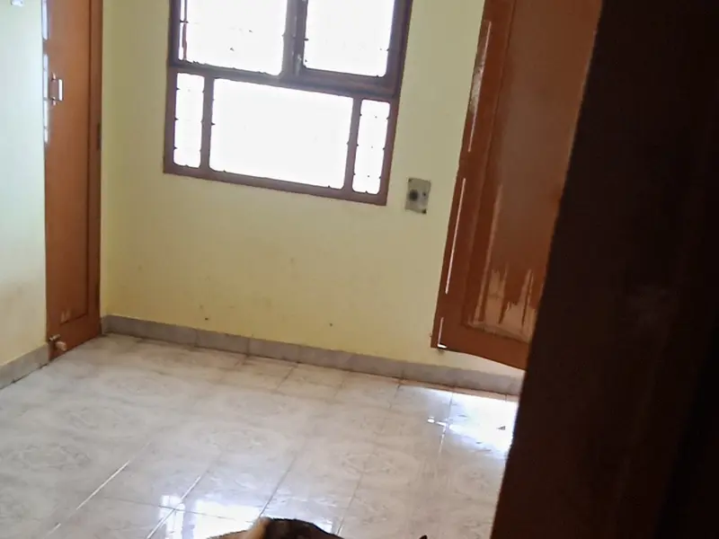 Thanigai Pet Care Clinic, photo 5