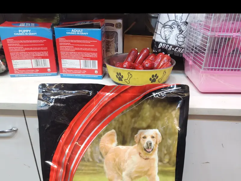 GV PET SHOP, photo 3