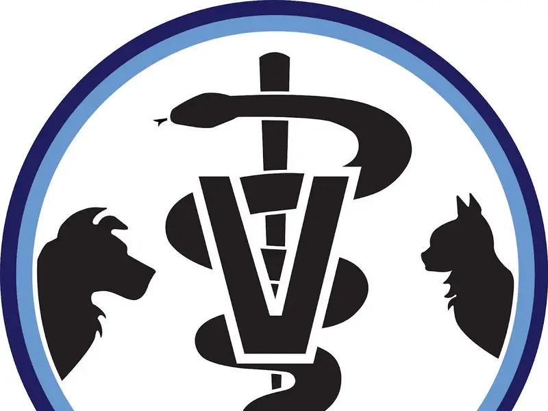 Veekays Pet Care Clinic - Ashok Nagar/Jafferkhanpet, photo 2
