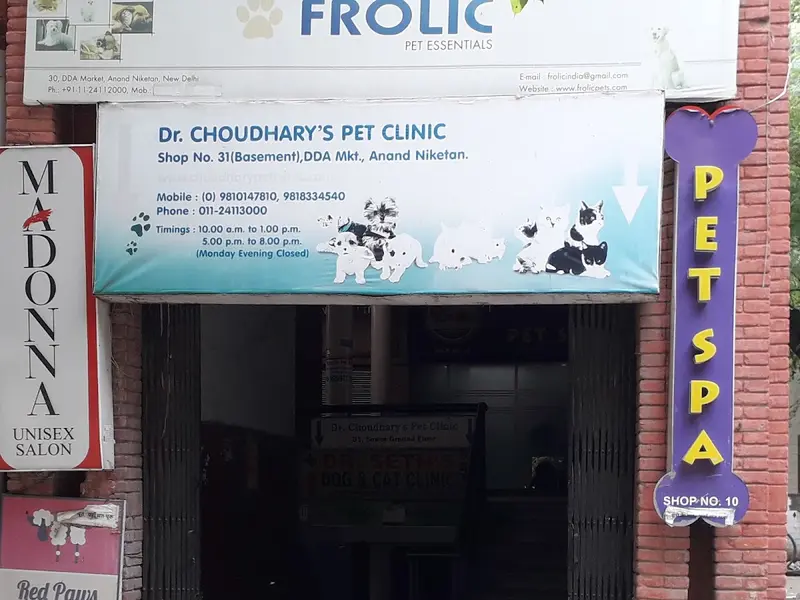 Dr Choudhary's Pet Clinic, photo 2
