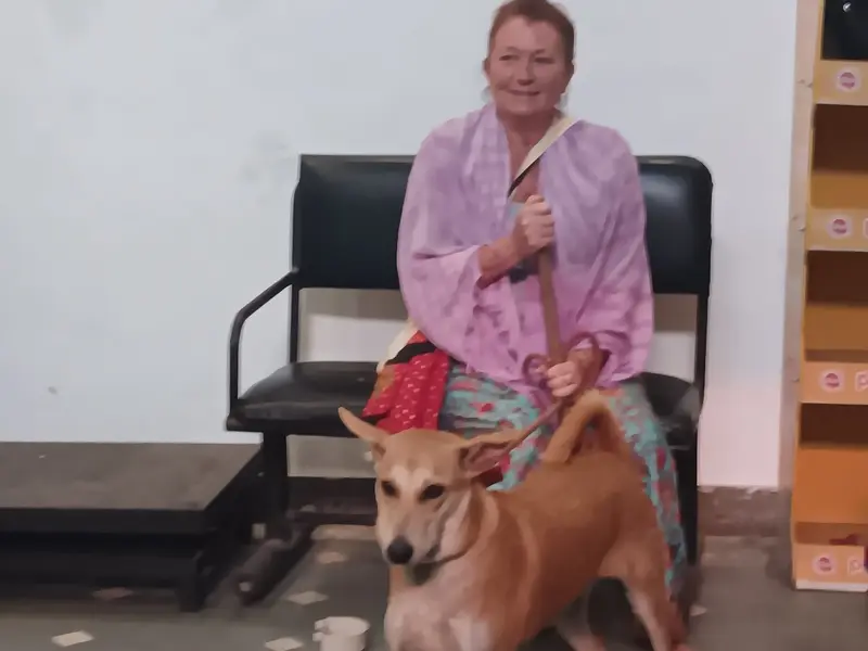 Dr Choudhary's Pet Clinic, photo 4
