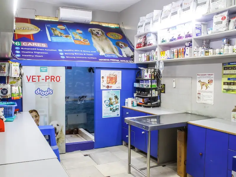 Seth dog and cat clinic, photo 5