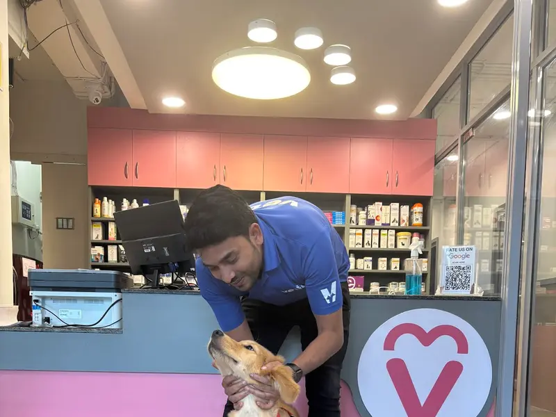 Vetic Pet Clinic Anand Vihar, photo 3