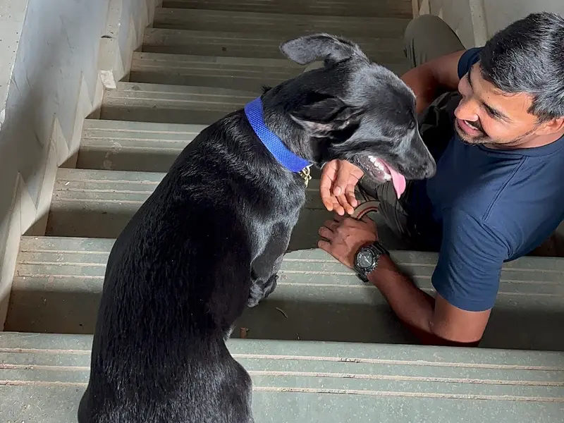 Dog training with Mohit Kumar, photo 3